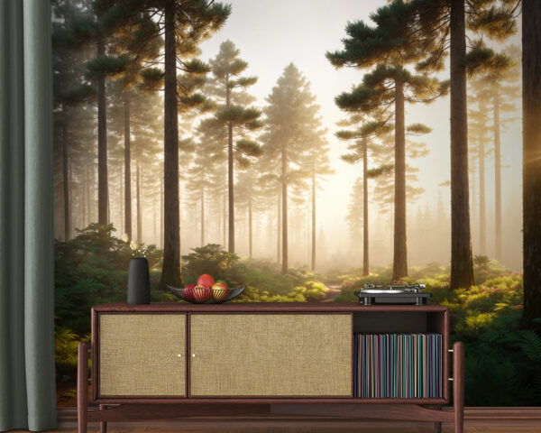 Fototapeta Východ slunce nad klidnou lesní cestou