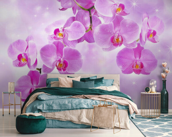 Jemné orchideje v jemných odstínech Fototapeta Jemné orchideje v jemných odstínech