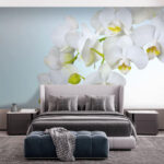 Fototapeta Bílé orchideje nad vodou