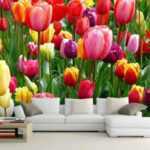 Fototapeta Skupina barevných tulipánů