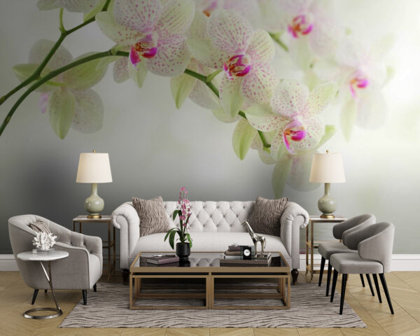 Orchideje odrážející se v klidné vodě Fototapeta Orchideje odrážející se v klidné vodě