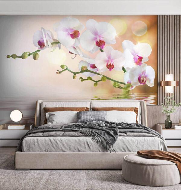 Orchideje odrážející se na klidné vodní hladině Fototapeta Orchideje odrážející se na klidné vodní hladině