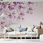 Fototapeta Jemné orchideje v jemných odstínech
