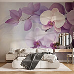 Fototapeta Jemné fialové orchideje v jemných odstínech