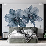 Fototapeta Jemné orchideje s ranní rosou