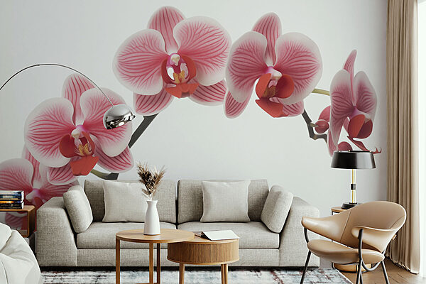 Jemné orchideje v jemných odstínech Fototapeta Jemné orchideje v jemných odstínech