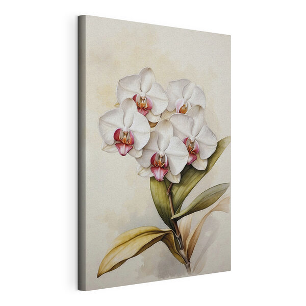 Jemné orchideje ve stylu akvarelu Obraz Jemné orchideje ve stylu akvarelu