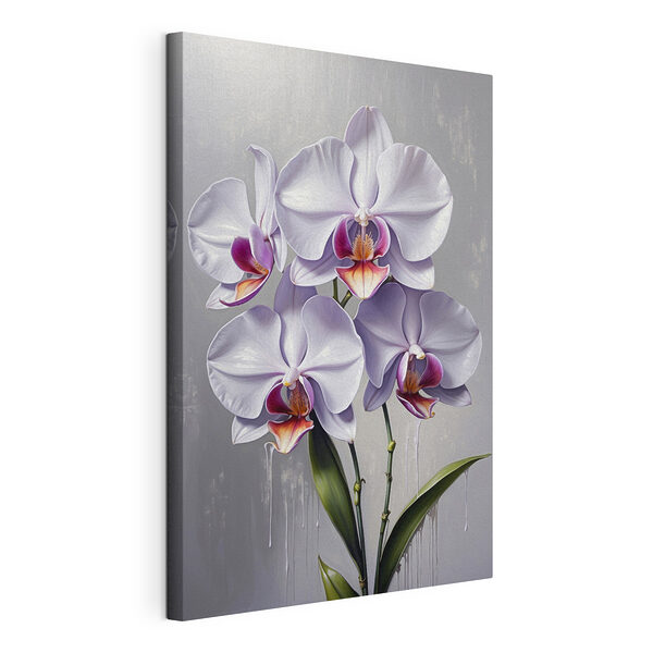 Obraz Kvetou elegantní bílé a růžové orchideje
