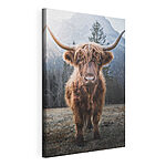 Obraz Highlandská kráva v malebné horské krajině