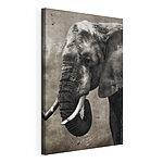 Obraz Slon s kly