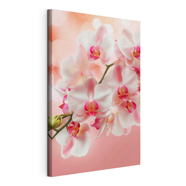 Obraz Elegantní orchideje v jemných růžových odstínech