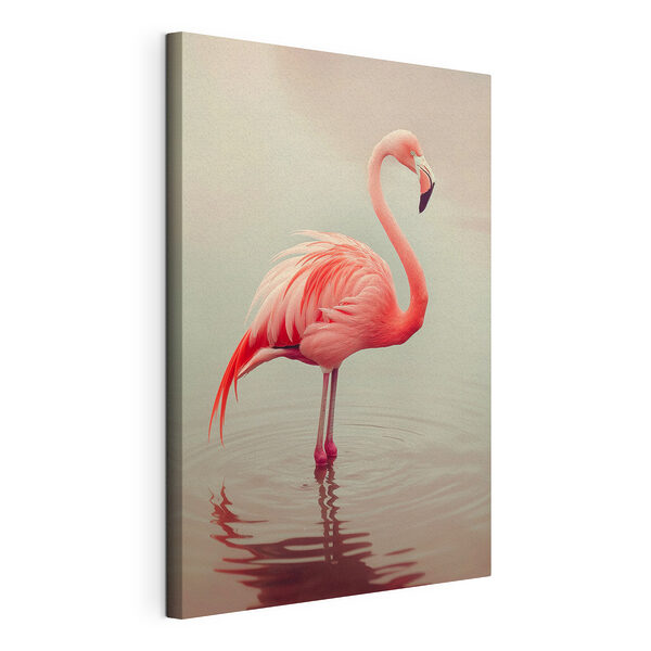 Flamingo stojící ve vodě Obraz Flamingo stojící ve vodě
