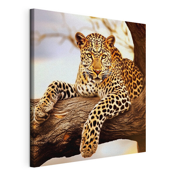 Leopard ležící na větvi stromu Obraz Leopard ležící na větvi stromu