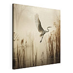 Obraz Pták letící nad vodou